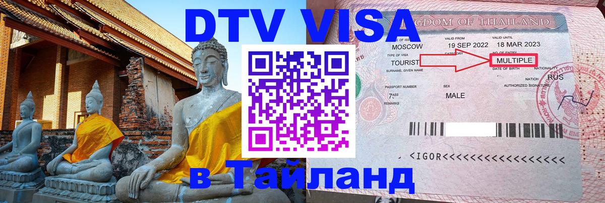 Сколько стоит DTV виза — актуальные цены, оформление даже без документов - Волжский  08.01.2026 